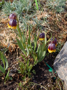 DSCN9776.JPG