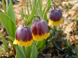 DSCN9778.JPG