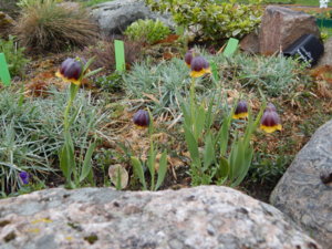DSCN9847.JPG