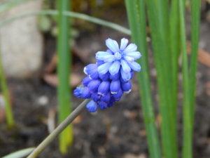 DSCN9842.JPG