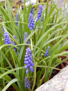 DSCN9855.JPG