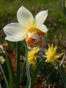 DSCN9813.JPG