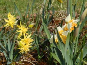 DSCN9815.JPG