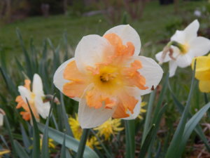 DSCN9851.JPG