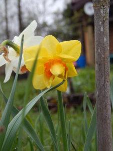 DSCN9852.JPG