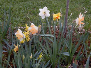 DSCN9853.JPG