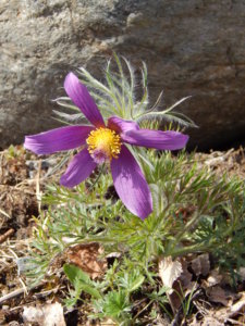 DSCN9787.JPG