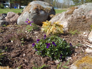 DSCN9789.JPG