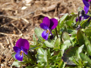 DSCN9790.JPG