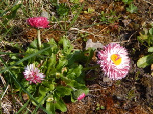 DSCN9791.JPG