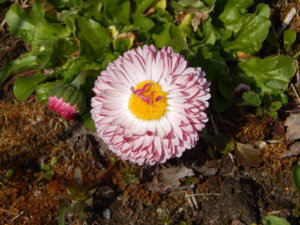 DSCN9792.JPG
