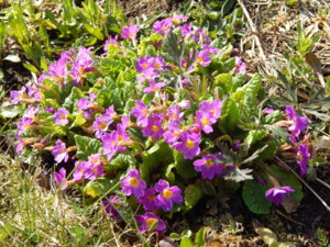 DSCN9799.JPG