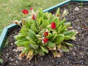 DSCN9844.JPG