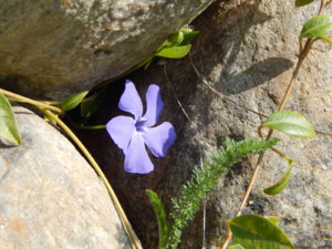 DSCN9793.JPG