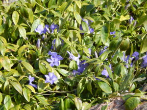 DSCN9794.JPG