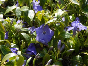 DSCN9795.JPG