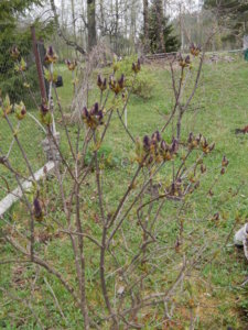 DSCN9860.JPG