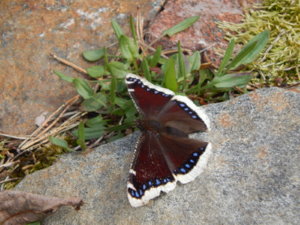 DSCN9824.JPG
