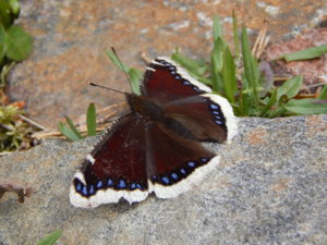 DSCN9826.JPG