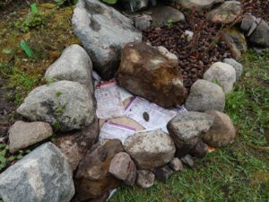 DSCN9831.JPG