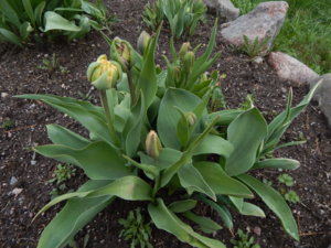 DSCN9839.JPG