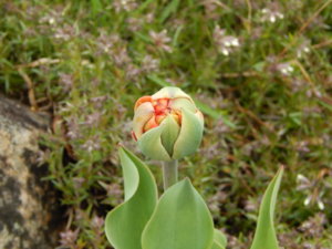 DSCN9840.JPG