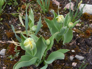DSCN9841.JPG