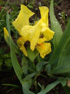 IMG_20190511_195121.jpg