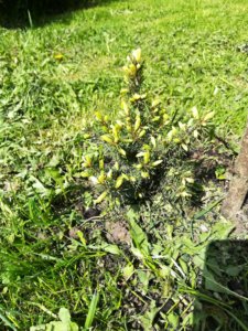 IMG_20190512_115303.jpg