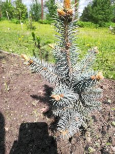 IMG_20190512_102346.jpg