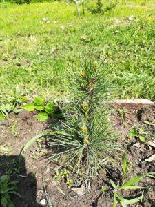 IMG_20190512_102220.jpg