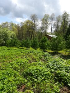 IMG_20190512_124336.jpg