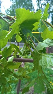 WP_20190515_11_40_44_Pro_LI.jpg