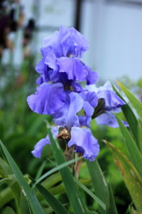 IMG_7697.JPG