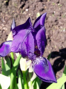 20190515_113519.jpg