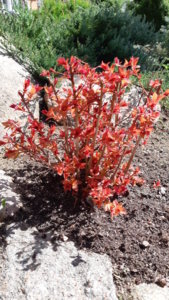 20190515_113616.jpg