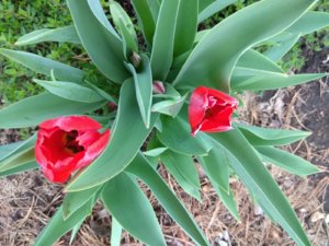 IMG_20190517_141015.jpg