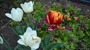 WP_20190517_14_08_49_Pro_LI.jpg