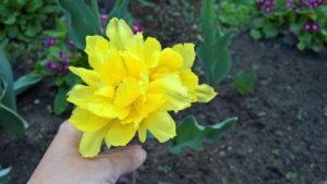WP_20190517_14_09_15_Pro_LI.jpg