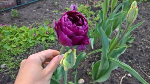 WP_20190517_14_09_49_Pro_LI.jpg