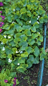 WP_20190517_14_08_20_Pro_LI.jpg