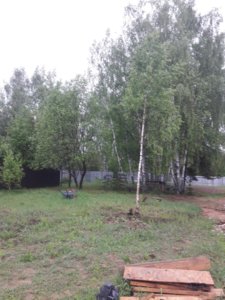 перед верандой.jpg
