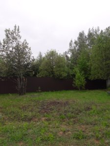 перед верандой4.jpg