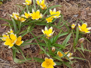 IMG_20190505_125352.jpg