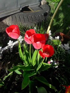 20190517_185413.jpg