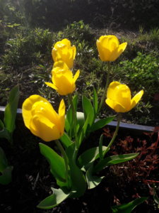 20190517_185502.jpg