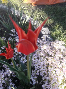 20190517_185338.jpg