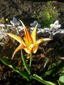 20190517_185309.jpg