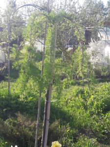 20190517_185726.jpg