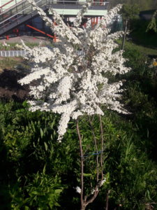 20190517_185604.jpg